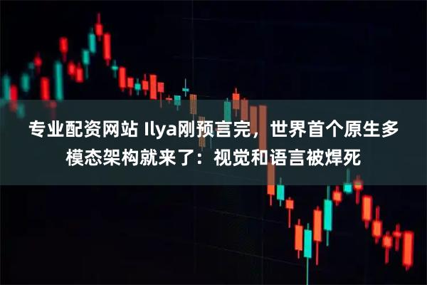 专业配资网站 Ilya刚预言完，世界首个原生多模态架构就来了：视觉和语言被焊死
