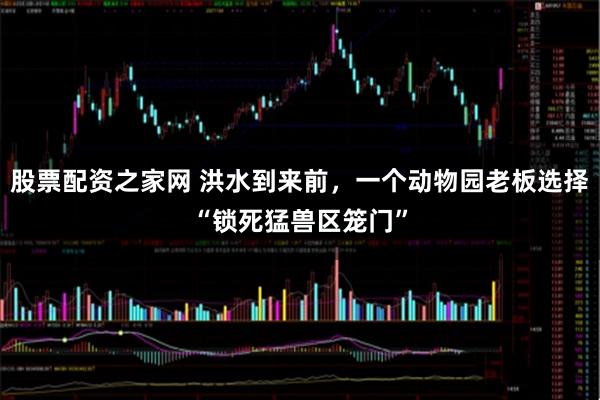 股票配资之家网 洪水到来前，一个动物园老板选择“锁死猛兽区笼门”